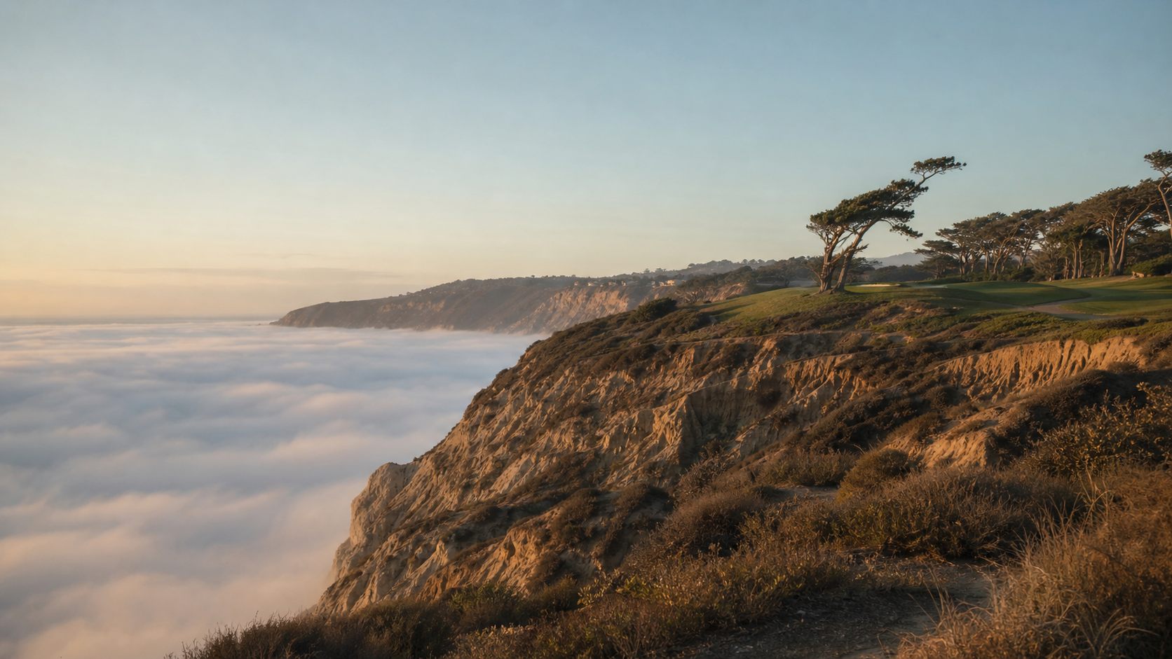 Coastal cliffs above the fog at Torrey Pines